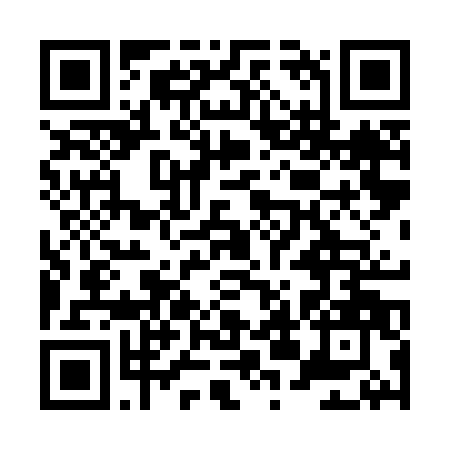 QR Code para acessar a página de WELINGTON MACHADO PEREGRINA