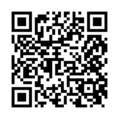 QR Code para acessar a página de PONTUAL GAS
