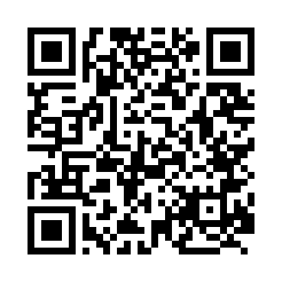 QR Code para acessar a página de DSF COMERCIO DE GAS LTDA