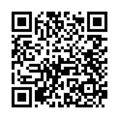 QR Code para acessar WELLINGTON RAUL