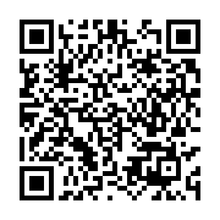 QR Code para acessar VINICIUS VIANA VIDAL SALINAS DAIUB