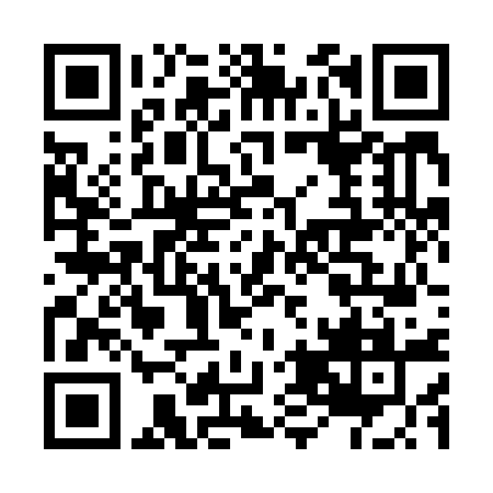 QR Code para acessar PINHEIRO E FADDUL SERVICOS MEDICOS LTDA