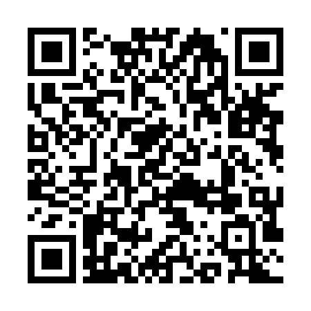 QR Code para acessar CODEMA COMERCIAL E IMPORTADORA LTDA