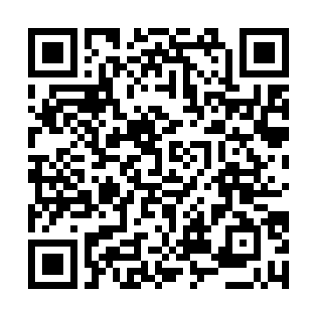 QR Code para acessar VINICIUS DE ALMEIDA FERREIRA