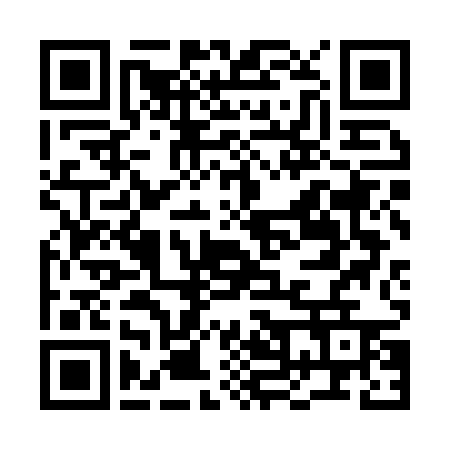 QR Code para acessar ERICA APARECIDA DA SILVA FREITAS 31338953893