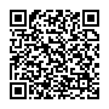 QR Code para acessar LTM INDUSTRIA E COMERCIO DE CHICOTES ELETRICOS LTDA