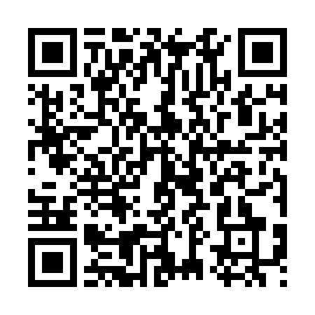 QR Code para acessar DOUGLAS A CRUZ CONSULTORIA E SOLUCOES INTEGRADAS