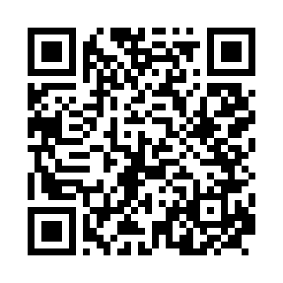 QR Code para acessar DIAMANTES PRESENTES LTDA