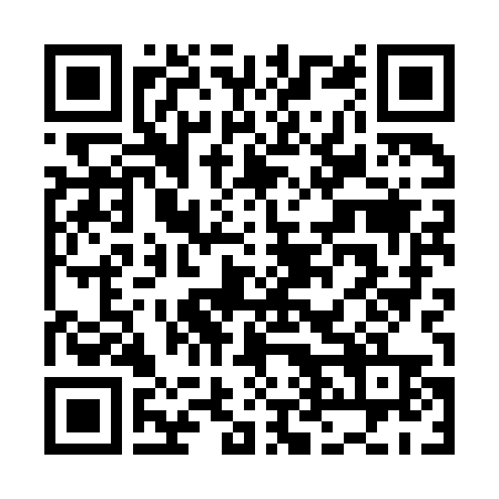QR Code para acessar a página de VALDIR APARECIDO DAMICO