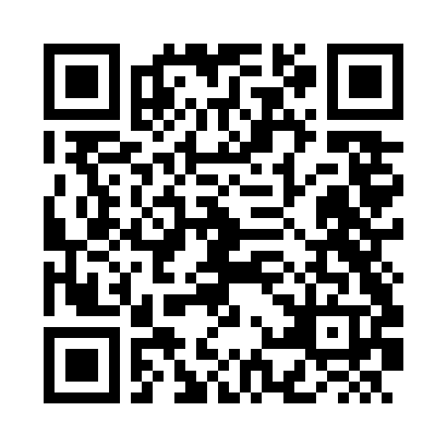 QR Code para acessar THEODORO AFONSO NETO