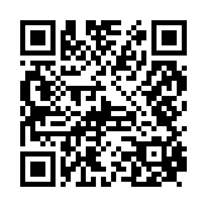 QR Code para acessar PONTUAL HOLDING LTDA