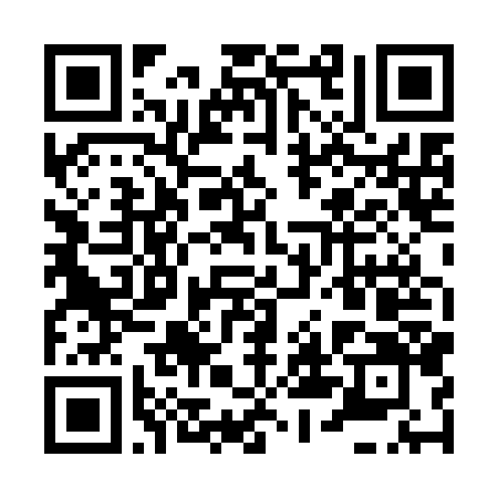QR Code para acessar a página de EMERSON DIOGENES SILVA RODRIGUES