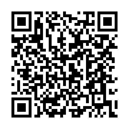 QR Code para acessar B. PINCELI COMERCIO E SOLUCOES EMPRESARIAIS LTDA