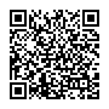 QR Code para acessar VINICIUS DE CARVALHO MACHADO