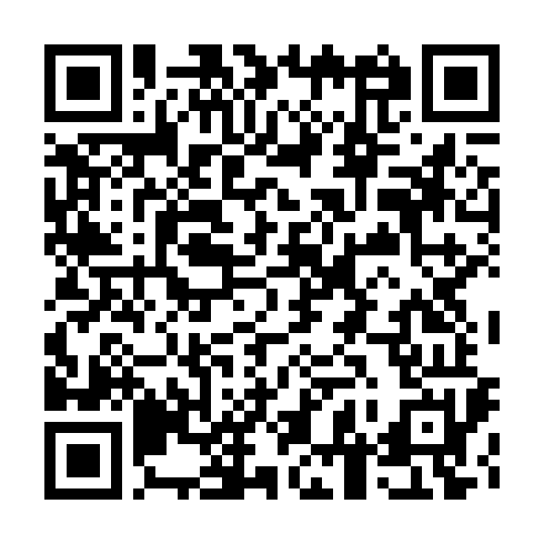 QR Code para Anel Cravejado Estrela Banhado a Prata – Brilho Infinito
